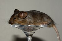 /album/vrh-h2/img-6850-3-jpg/