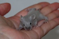 /album/vrh-k2/img-8451-2-jpg/