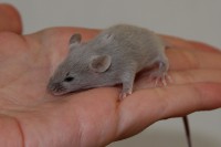 /album/vrh-k2/img-8464-2-jpg/