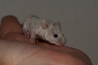 /album/vrh-k2/img-8492-2-jpg/