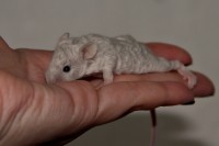 /album/vrh-k2/img-8496-2-jpg/