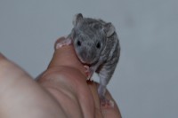 /album/vrh-k2/img-8504-2-jpg/