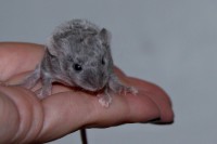 /album/vrh-k2/img-8527-2-jpg/