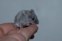 /album/vrh-k2/img-8506-2-jpg/