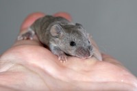 /album/vrh-l2/img-8914-2-jpg/