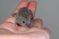 /album/vrh-l2/img-8906-2-jpg/