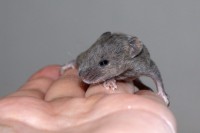 /album/vrh-l2/img-8909-2-jpg/