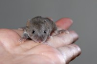 /album/vrh-l2/img-8913-2-jpg/