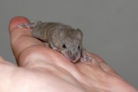 /album/vrh-l2/img-8875-2-jpg/