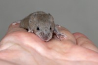 /album/vrh-l2/img-8876-2-jpg/