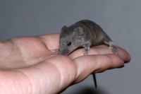 /album/vrh-l2/img-8968-2-jpg/