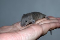 /album/vrh-l2/img-8971-2-jpg/